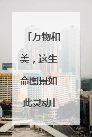 万物和美，这生命图景如此灵动