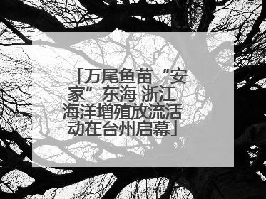 万尾鱼苗“安家”东海 浙江海洋增殖放流活动在台州启幕