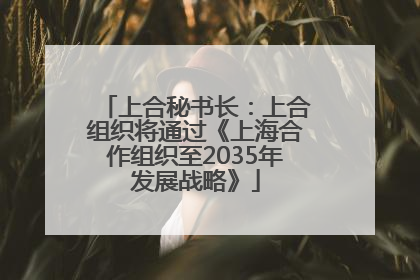 上合秘书长：上合组织将通过《上海合作组织至2035年发展战略》