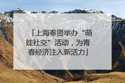 上海奉贤举办“萌娃社交”活动，为青春经济注入新活力