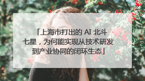 上海市打出的 AI 北斗七星，为何能实现从技术研发到产业协同的闭环生态