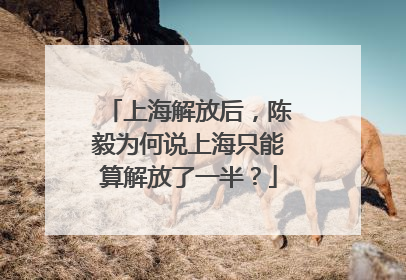 上海解放后，陈毅为何说上海只能算解放了一半？