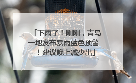 下雨了！刚刚，青岛一地发布暴雨蓝色预警！建议晚上减少出