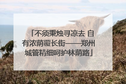 不须秉烛寻凉去 自有浓荫覆长街——郑州城管精细呵护林荫路
