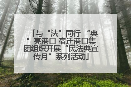 与“法”同行 “典”亮港口 宿迁港口集团组织开展“民法典宣传月”系列活动