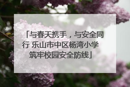 与春天携手，与安全同行 乐山市中区杨湾小学筑牢校园安全防线