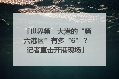 世界第一大港的“第六港区”有多“6”？记者直击开港现场