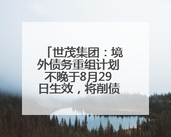 世茂集团：境外债务重组计划不晚于8月29日生效，将削债115亿美元