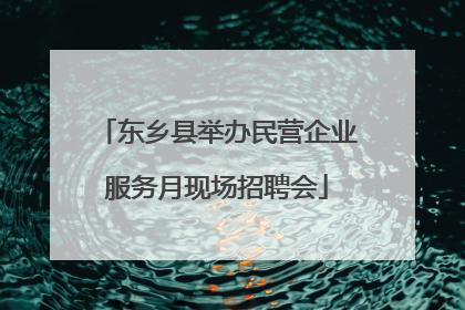 东乡县举办民营企业服务月现场招聘会