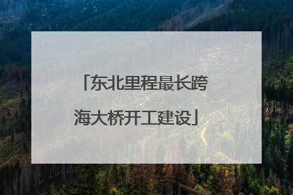 东北里程最长跨海大桥开工建设