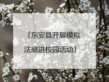 东安县开展模拟法庭进校园活动