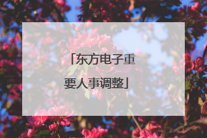 东方电子重要人事调整