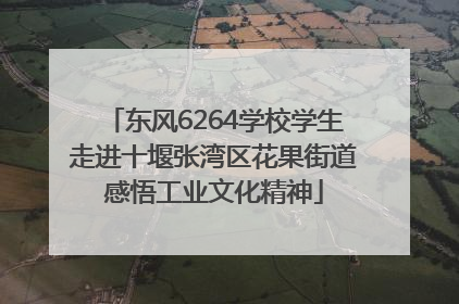 东风6264学校学生走进十堰张湾区花果街道感悟工业文化精神