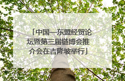 中国—东盟经贸论坛暨第三届链博会推介会在吉隆坡举行