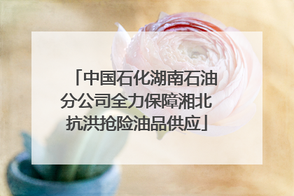 中国石化湖南石油分公司全力保障湘北抗洪抢险油品供应