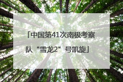 中国第41次南极考察队“雪龙2”号凯旋