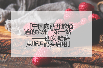 中国向西开放通道的境外“第一站”——西安·哈萨克斯坦码头启用