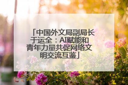 中国外文局副局长于运全：AI赋能和青年力量共促网络文明交流互鉴