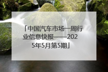 中国汽车市场一周行业信息快报——2025年5月第5期