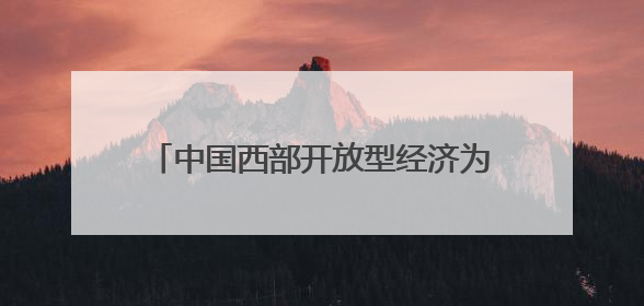 中国西部开放型经济为民营企业带来新商机