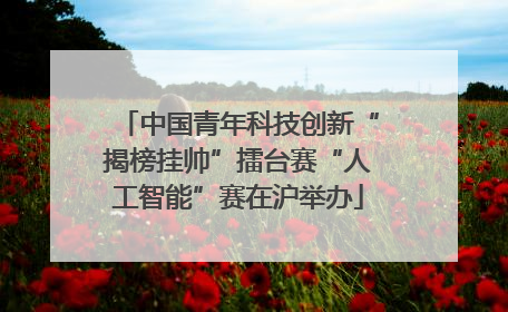 中国青年科技创新“揭榜挂帅”擂台赛“人工智能”赛在沪举办