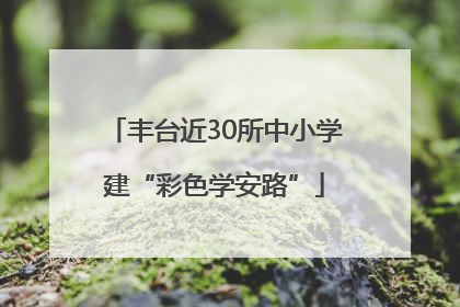 丰台近30所中小学建“彩色学安路”