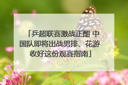 乒超联赛激战正酣 中国队即将出战男排、花游 收好这份观赛指南