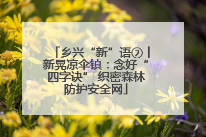 乡兴“新”语②丨新晃凉伞镇：念好“四字诀” 织密森林防护安全网