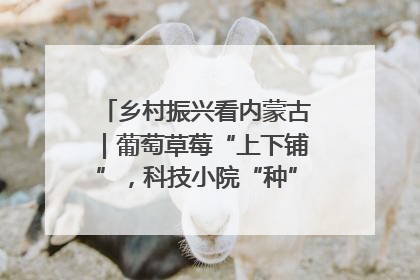 乡村振兴看内蒙古｜葡萄草莓“上下铺”，科技小院“种”出三倍效益