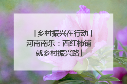 乡村振兴在行动丨河南南乐：西红柿铺就乡村振兴路