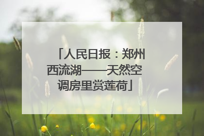 人民日报：郑州西流湖——天然空调房里赏莲荷