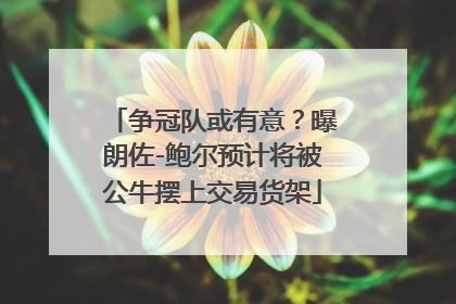 争冠队或有意？曝朗佐-鲍尔预计将被公牛摆上交易货架