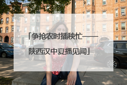 争抢农时插秧忙——陕西汉中夏播见闻