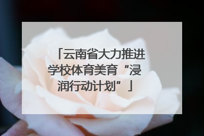 云南省大力推进学校体育美育“浸润行动计划”