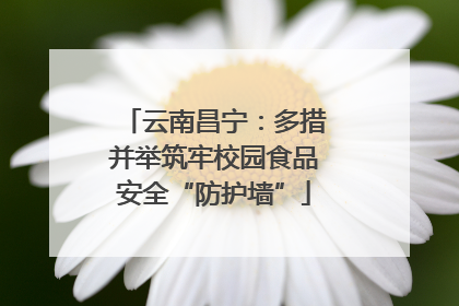 云南昌宁：多措并举筑牢校园食品安全“防护墙”
