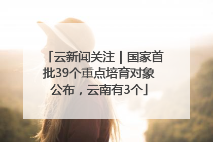 云新闻关注｜国家首批39个重点培育对象公布，云南有3个