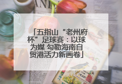 五指山“老州府杯”足球赛：以球为媒 勾勒海南自贸港活力新画卷