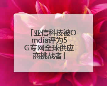 亚信科技被Omdia评为5G专网全球供应商挑战者
