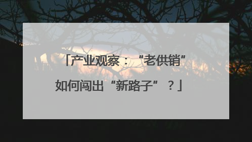 产业观察：“老供销”如何闯出“新路子”？