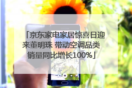 京东家电家居惊喜日迎来董明珠 带动空调品类销量同比增长100%