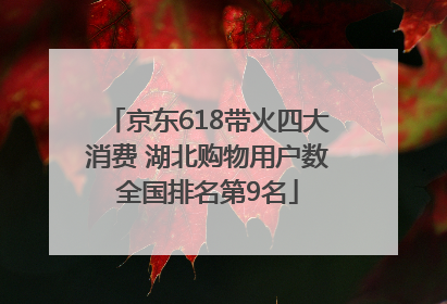 京东618带火四大消费 湖北购物用户数全国排名第9名