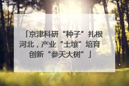 京津科研“种子”扎根河北，产业“土壤”培育创新“参天大树”