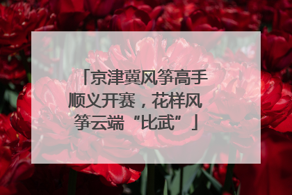 京津冀风筝高手顺义开赛，花样风筝云端“比武”