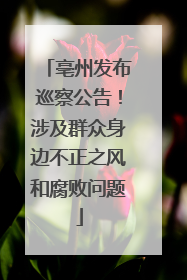 亳州发布巡察公告！涉及群众身边不正之风和腐败问题