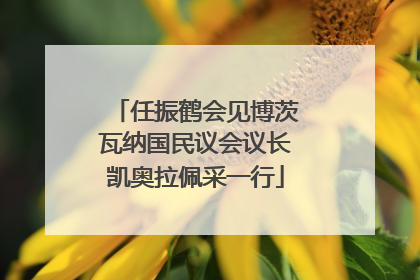 任振鹤会见博茨瓦纳国民议会议长凯奥拉佩采一行