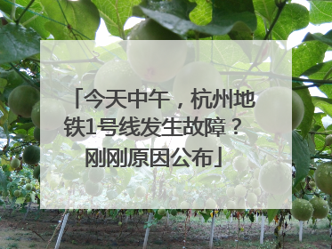 今天中午，杭州地铁1号线发生故障？刚刚原因公布