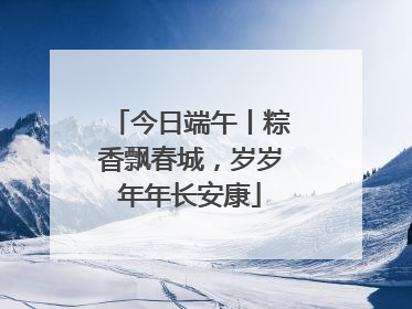 今日端午丨粽香飘春城，岁岁年年长安康