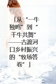 从“一牛独鸣”到“千牛共舞”——古渡河口乡村振兴的“牧场答卷”