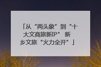 从“两头象”到“十大文商旅新IP” 新乡文旅“火力全开”