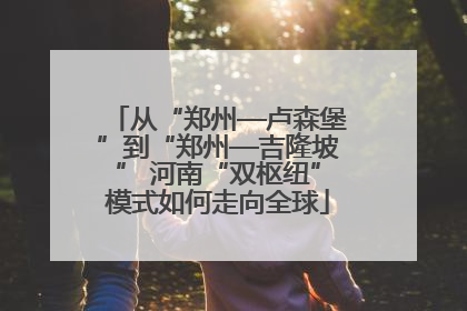 从“郑州—卢森堡”到“郑州—吉隆坡” 河南“双枢纽”模式如何走向全球